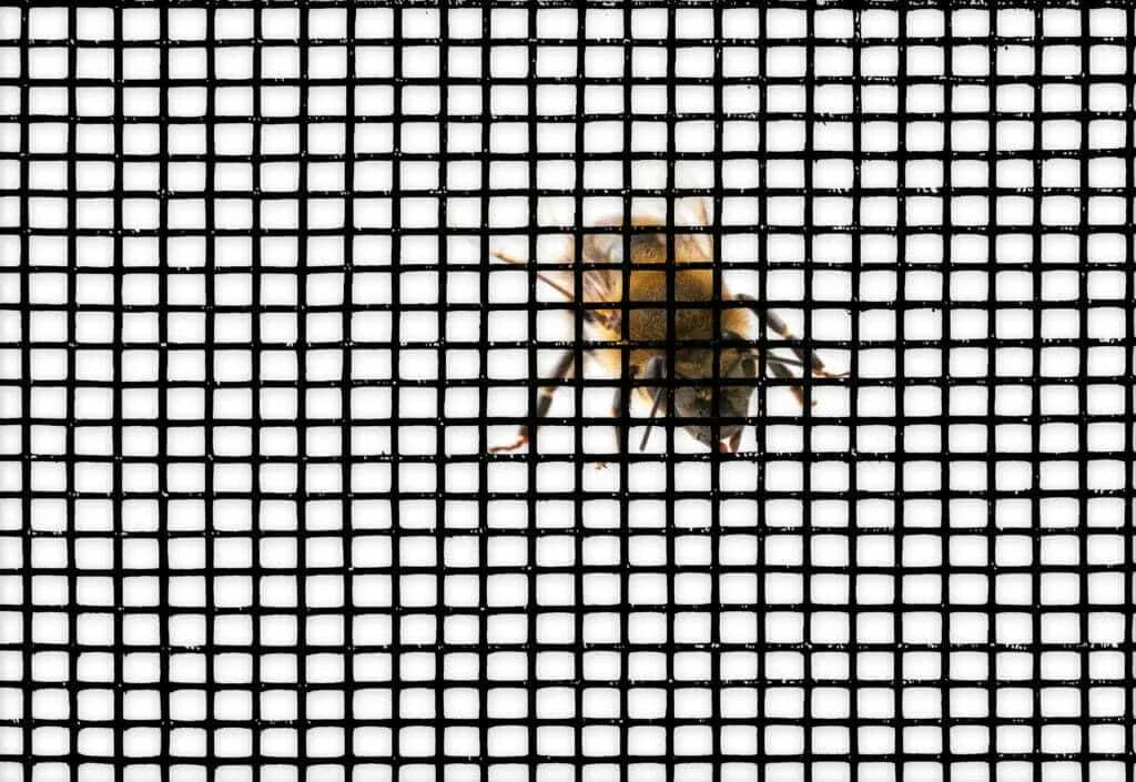 cheap glass mesh tape